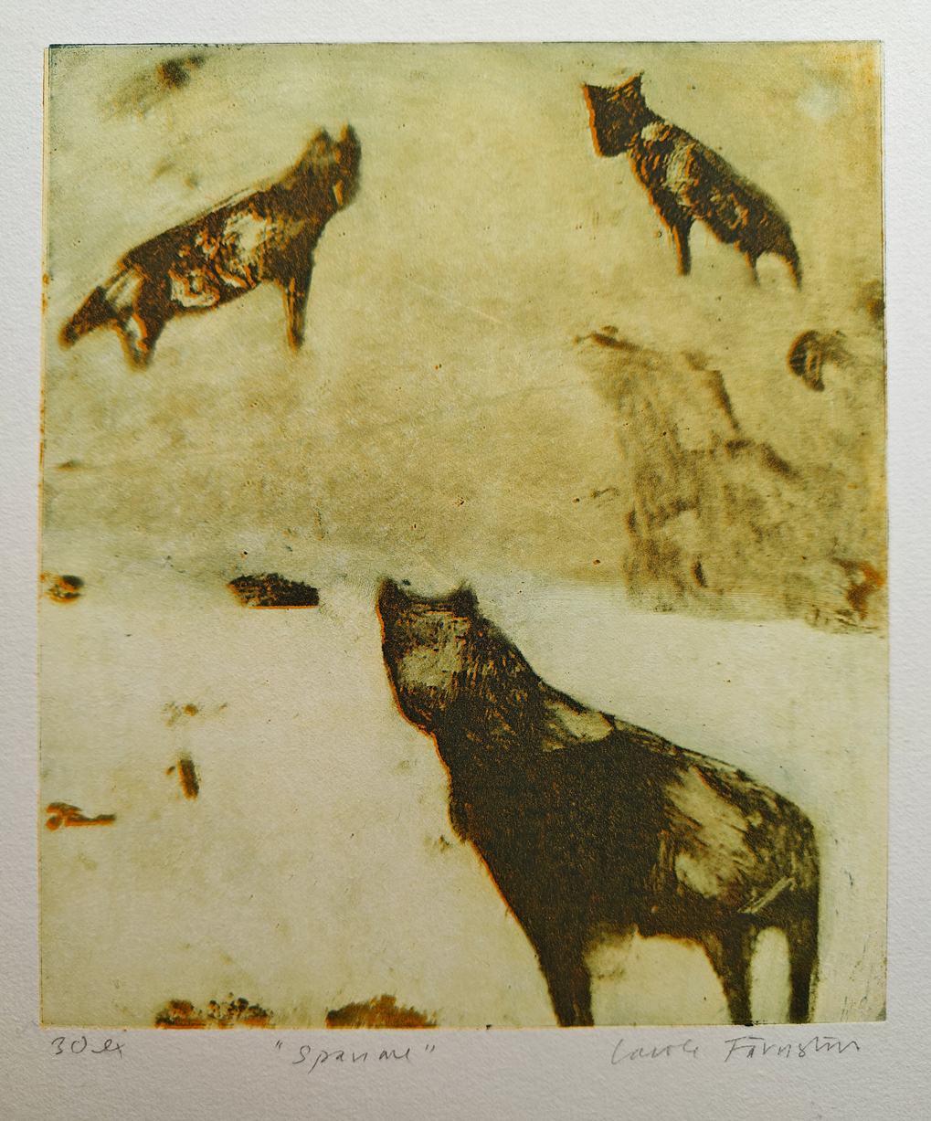 6. Spanare, grafik, Caroline Färnström